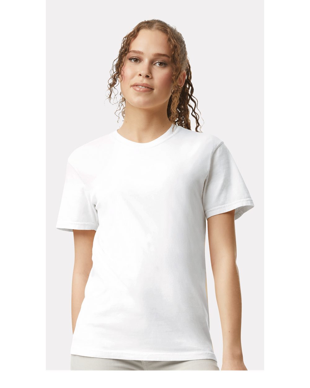 Blank Comfort Color T-Shirts